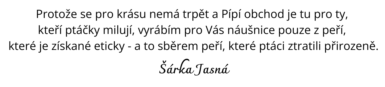 Ve vánku ptačích peříček ... (1)_1